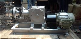 Stainless Steel Vertical Metering Pump, Tc