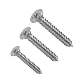 Polished Stainless Steel Round Head Screws