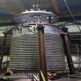 Stainless Steel Chemical Reactor