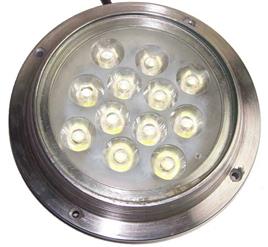 RGB SS Submersible Pool Light