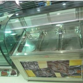 Stainless Steel Fish Showcase, 550W