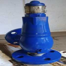 SS Conventional Thermal Relief Valve