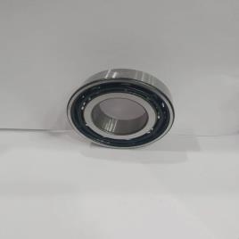 Stainless Steel Plain Bearing GE240
