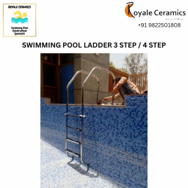 Pool Ladder, SS 304 with PVC Steps