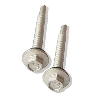 Stainless Steel Roofing Screw