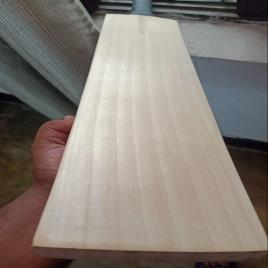 A Grade English Willow Cricket Bat