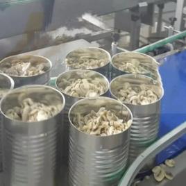 Standard Mushroom Cutting Machine