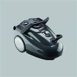 Professional Steam Car Washer