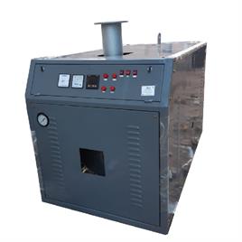 Industrial Steam Generator