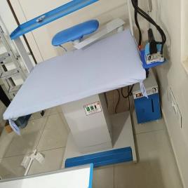 Steam Ironing System