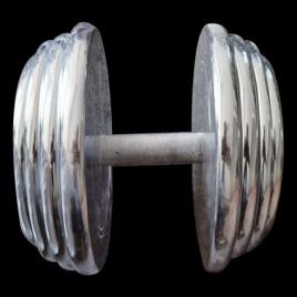 Steel Fixed Dumbbell, 10 kg