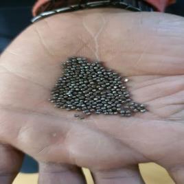 Mild Steel Shot S230, Size Range: S-70 To 950