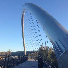 Steel Cable Support System