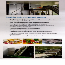 Straight Belt Tunnel Freezer IQF, 200 L Capacity