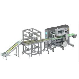 Strip Pouch Secondary Packaging Machine