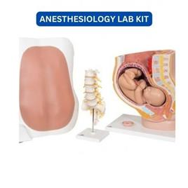 Surgihub Anesthesiology Lab Kit (Skin Color)