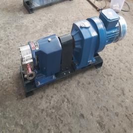 SV 10 Mtr Rotary Lobe Pump