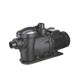 Cast Iron Swimming Pool Pump 1 HP