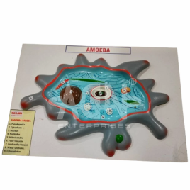 AGN Fiber Tabletop Board