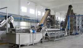 Tamarind Seed Processing Machinery