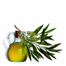 Tea Tree Oil