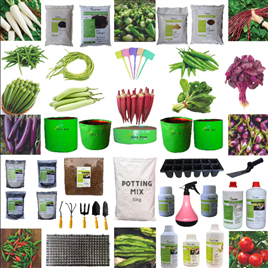 Terrace Garden Material Design