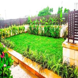 Terrace Gardening Design Service
