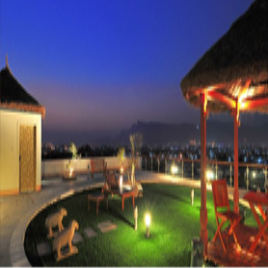 Terrace Gardening Services