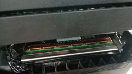 TSC Zebra Thermal Printer Head