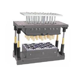 MS Thermoforming Mould