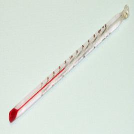 Standard Thermometer