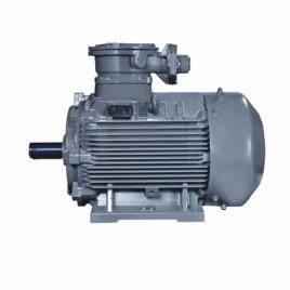 Crompton 20 HP Foot Mounted Flame Proof Motor, 360V