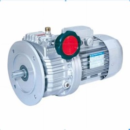 Three Phase 15 HP Bonfiglioli Gear Motor