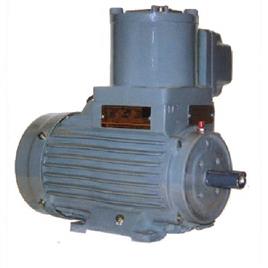 Three Phase AC Flame Proof Motor