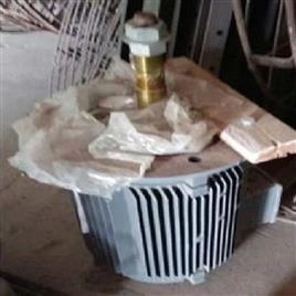 Three Phase Industrial Cooling Tower Motor