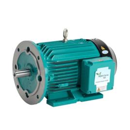 Three Phase Foot Cum Flange Motor, 0.18 kW, 440 V