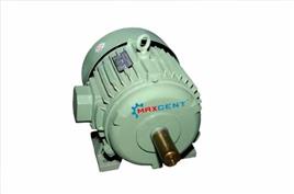 Three-Phase AC Induction Motor