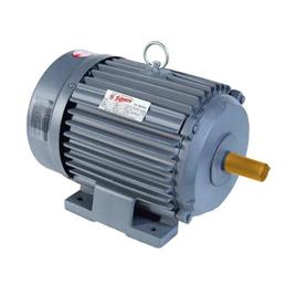 MS Three Phase Electric Motor