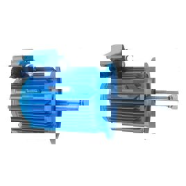 Three Phase Foot Mounted 2HP Cooling Tower Electric Motor