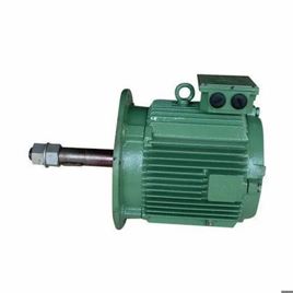 Three Phase Industrial Cooling Tower Drive Motor