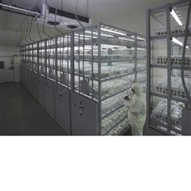 Warehouse Culture Rack