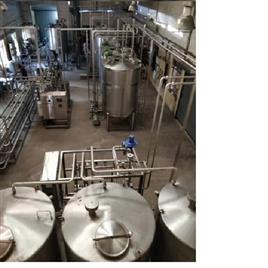 Tomato Powder Processing Plant