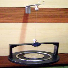 Torsion Pendulum Device