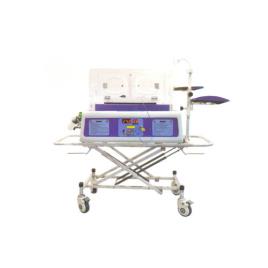 Mobile Patient Chamber