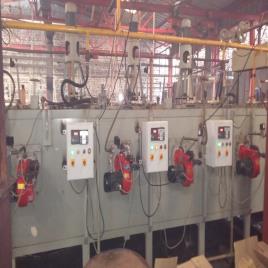 Industrial Treatment Furnace