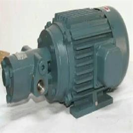 Trochoid Hydraulic Rotary Pumps