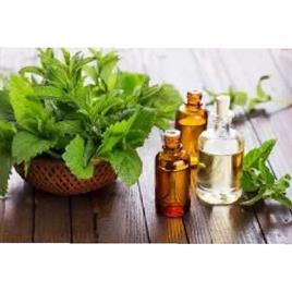 Tulsi Oil