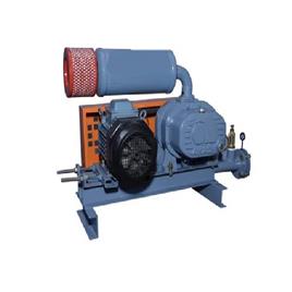 Twin Lobe Air Blower Device