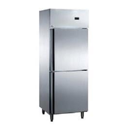 Vertical Double Door Freezer