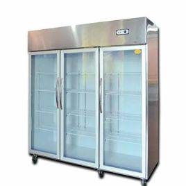 Dual Door Vertical Freezer